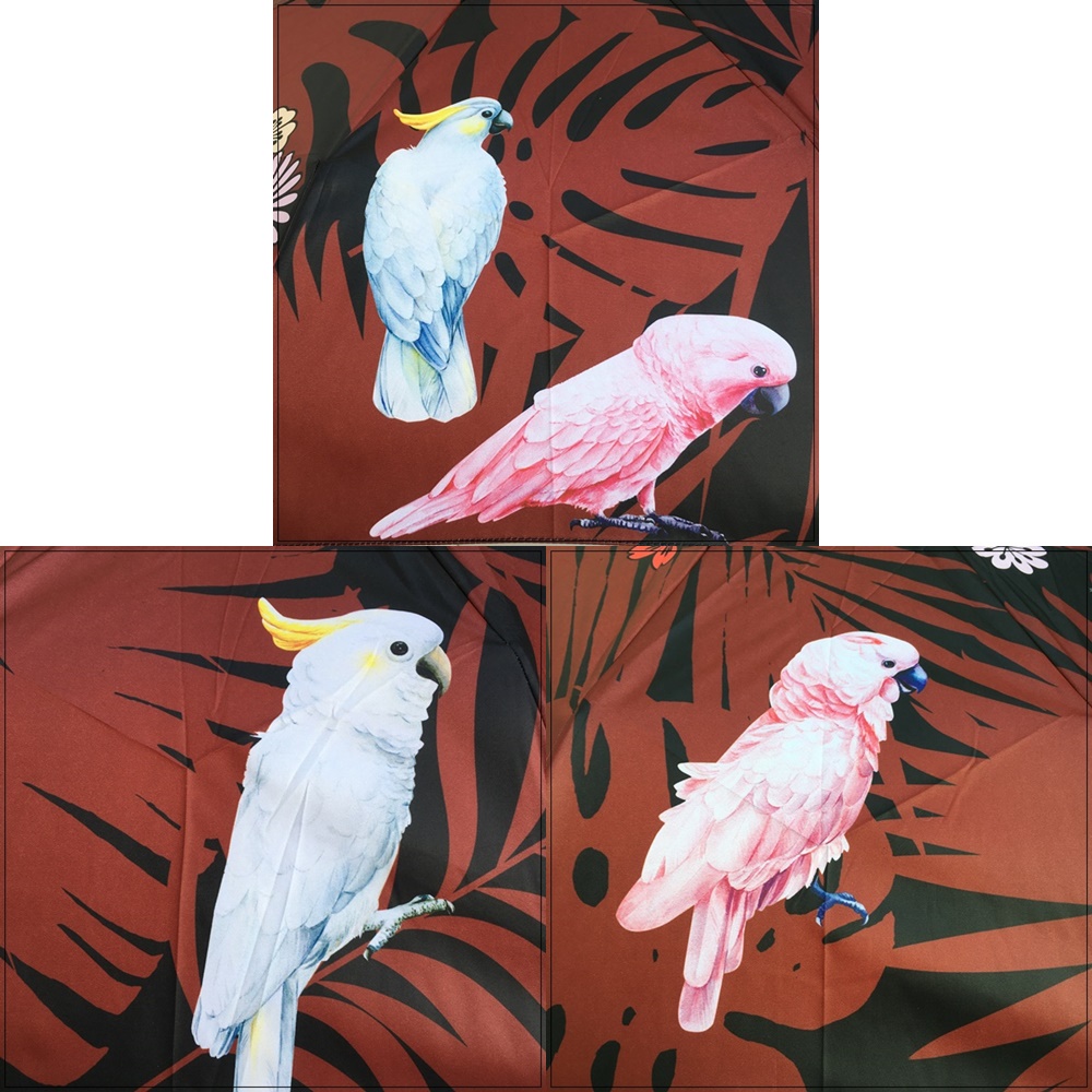 papugi na czaszy parasolki Exotic Neyrat Autun kasztan